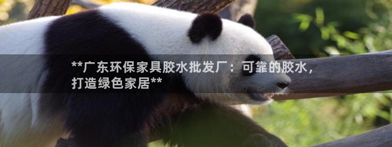 杏耀总代