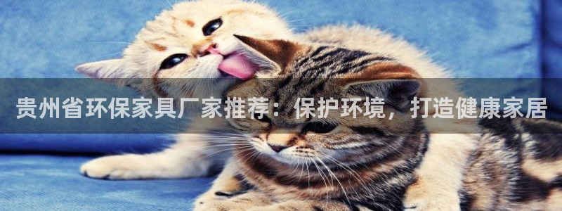 杏耀官网网站