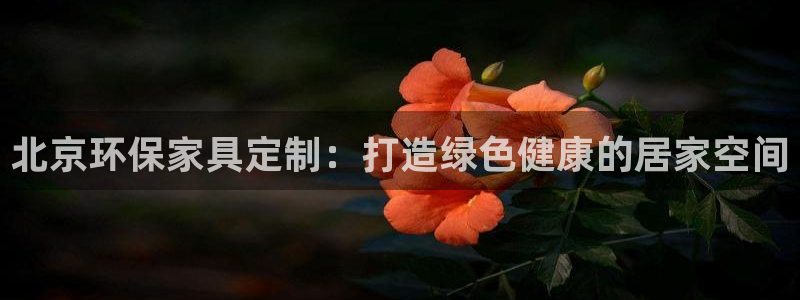 杏耀总代