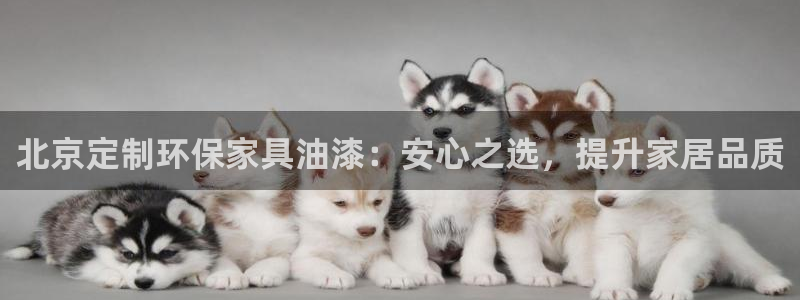 杏耀官网网站