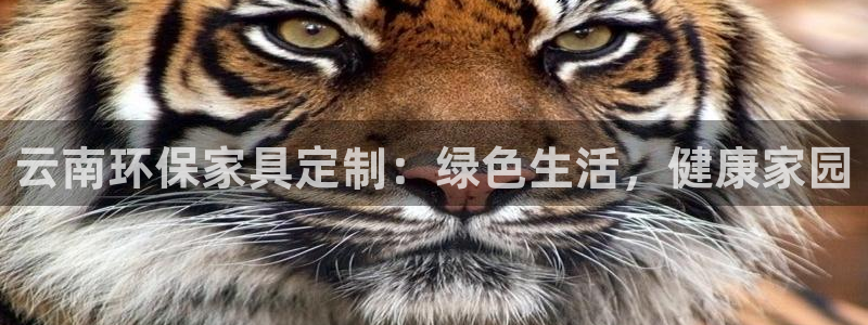 杏耀平台线路测试