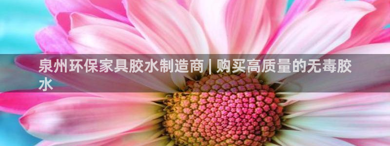 杏耀平台代理怎么赚钱：泉州环保家具胶水制造商 | 购买高质量