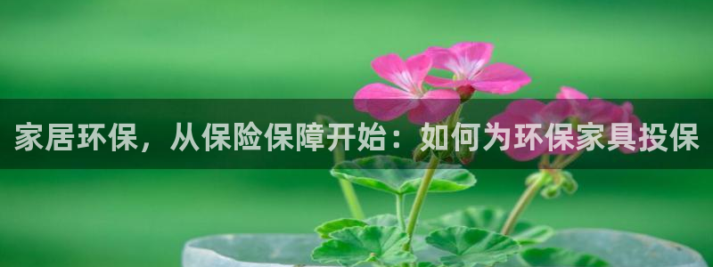 杏耀平台注册网址：家居环保，从保险保障开始：如何为环保家具投
