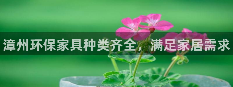 杏耀注册平台官网：漳州环保家具种类齐全，满足家居需求