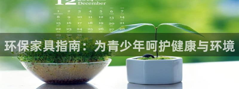 杏耀平台待遇：环保家具指南：为青少年呵护健康与环境