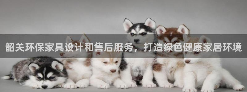 杏耀平台在哪里：韶关环保家具设计和售后服务，打造绿色健康家居