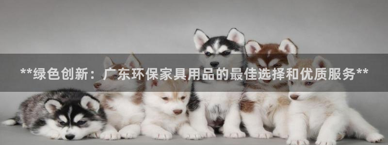 杏耀测速登录地址：**绿色创新：广东环保家具用品的最佳选择和