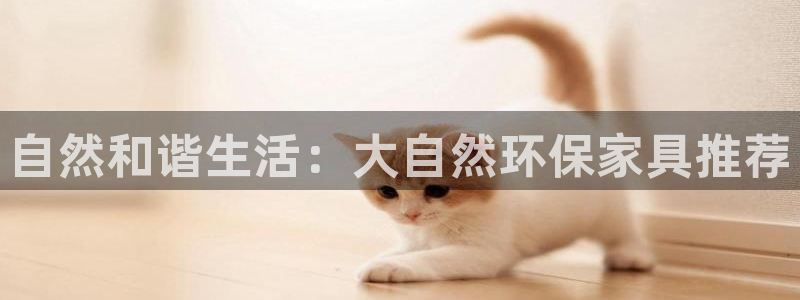 杏耀软件