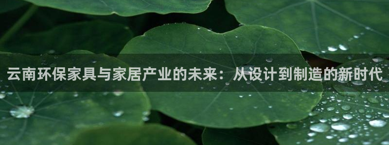 杏耀app怎样申请退款