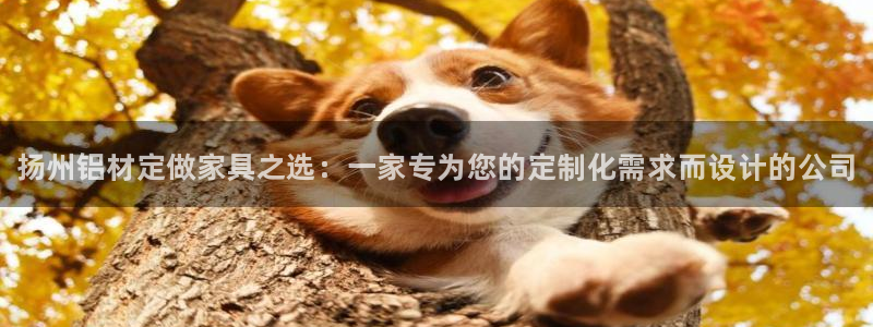 杏耀平台官方网站下载：扬州铝材定做家具之选：一家专为您的定制