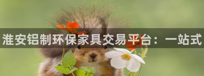 杏耀平台登陆官网：淮安铝制环保家具交易平台：一站式