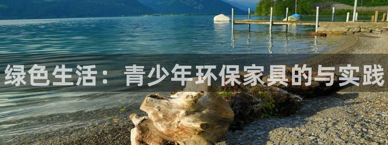 杏耀3代理：绿色生活：青少年环保家具的与实践