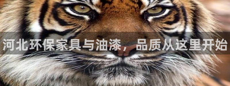 杏耀官方注册中心：河北环保家具与油漆，品质从这里开始