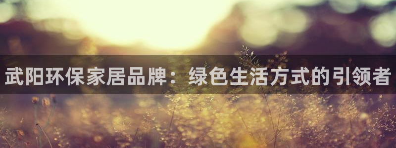 杏耀官方测速：武阳环保家居品牌：绿色生活方式的引领者