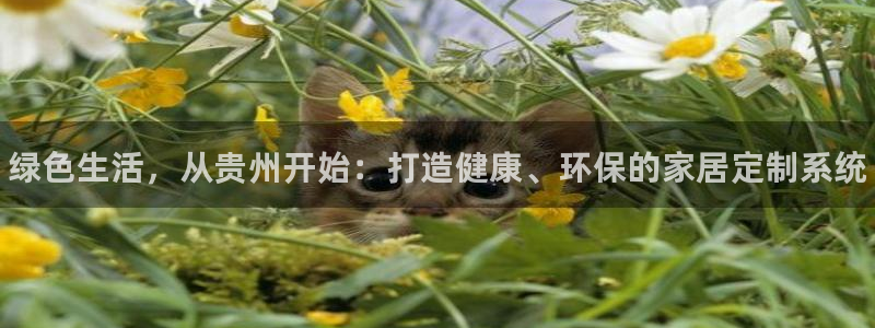 杏耀平台还在吗