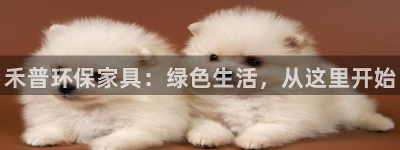 杏耀线路测速登录中心：禾普环保家具：绿色生活，从这里开始