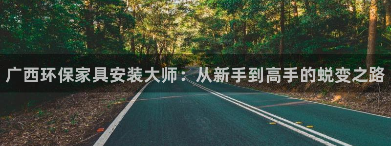 杏耀平台服务中心：广西环保家具安装大师：从新手到高手的蜕变之